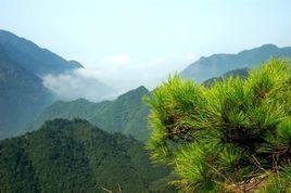 馬頭山國家級自然保護區