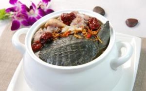 甲魚滋腎湯