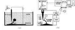 定位電化學沉積設備示意圖