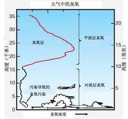 對流層臭氧