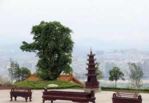 五魚山玉皇聖地旅遊景區