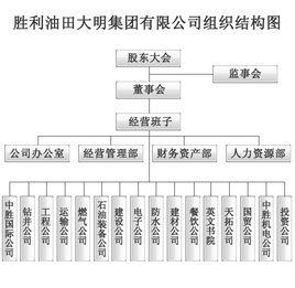 勝利油田大明集團