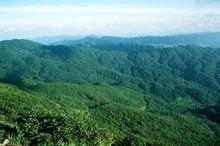 雷公山國家森林公園