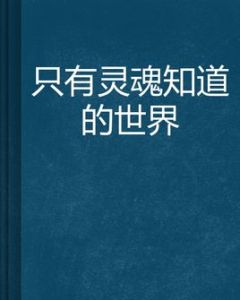 只有靈魂知道的世界