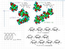 天然高分子