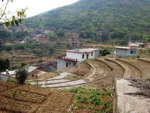 林坑村[福建省泉州市南安市九都鎮林坑村]