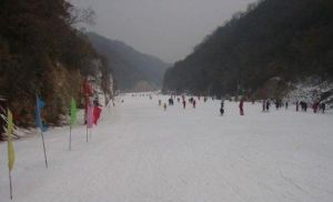 甘山森林滑雪場