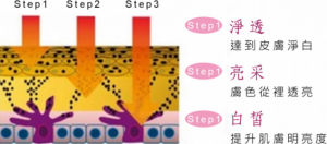 麗人醫美淨膚術治療技術