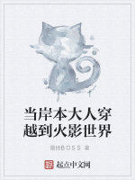 當岸本大人穿越到火影世界 當岸本大人穿越到火影世界