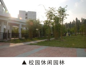 湖北大學知行學院