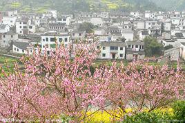 桃花村[重慶市忠縣黃金鎮桃花村]