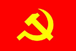 越南共產黨第十一次全國代表大會