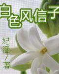 白色風信子悄悄綻放，花開花落