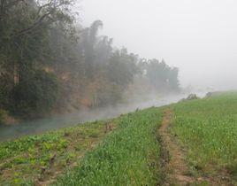 龍河村[雲南省玉溪新平縣漠沙鎮龍河村民委員會]