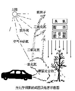 光化學效應