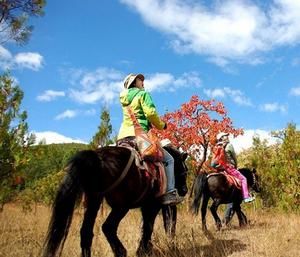 茶馬古城