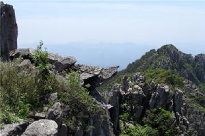 三陽鄉農業產業發展生態環境