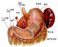 胃腸炎