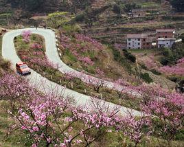 仙渡鄉嶺頭村