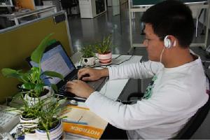 辦公桌上擺滿綠色植物