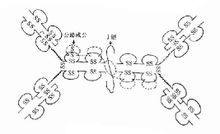 IgA抗體