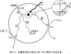 負催化劑