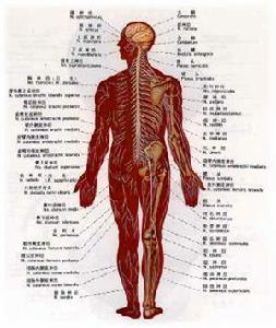 藥物中毒性周圍神經病