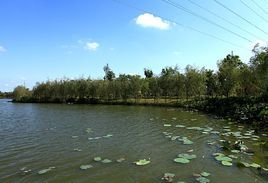 東方濕地公園