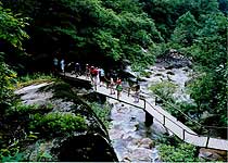 青龍山森林公園