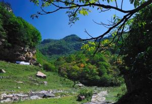 歷山旅遊區