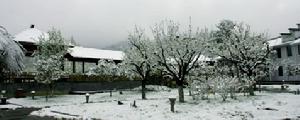 貴賓樓外花園雪景