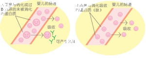 森永奶粉