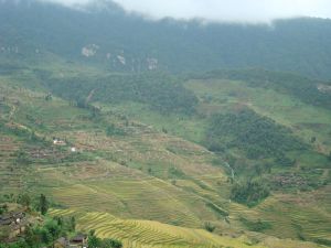 大蘆山村