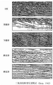 地震內部反射構造