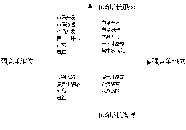 GS Matrix,GS_Matrix,GS-Matrix,Grand Strategy Matrix,大戰略Matrix,大戰略矩陣