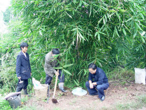 雙山鄉