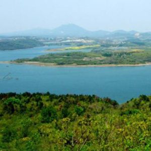 浙江景寧九龍山