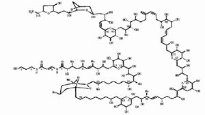 刺尾魚毒素分子結構