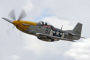 p51