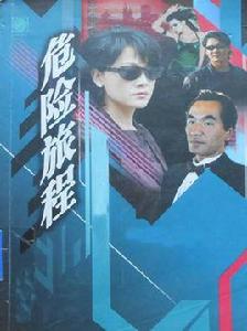 危險旅程[2001年王姬主演電視劇]