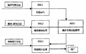 圖 1 海洋生物圖像信息管理系統數據流程