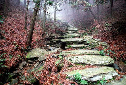 茶馬古道遺址