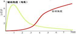 斷奶仔豬免疫力