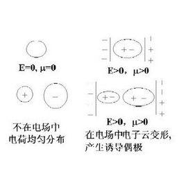 離子極化力