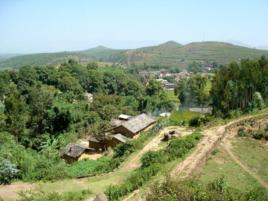 龍洞村[廣東天河區沙河鎮下轄村]