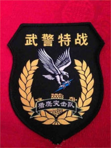 Special Police of China