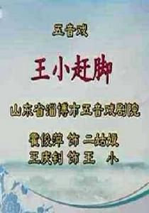 王小趕腳