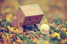 盒子人Danbo