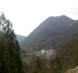 李山村[甘肅省隴南市康縣周家壩鎮下轄村]