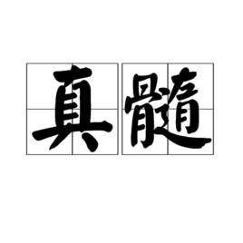 真髓[漢語詞語]